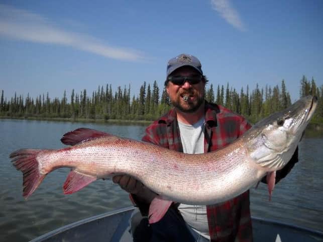 Possible Record Silver Pike Caught and Released