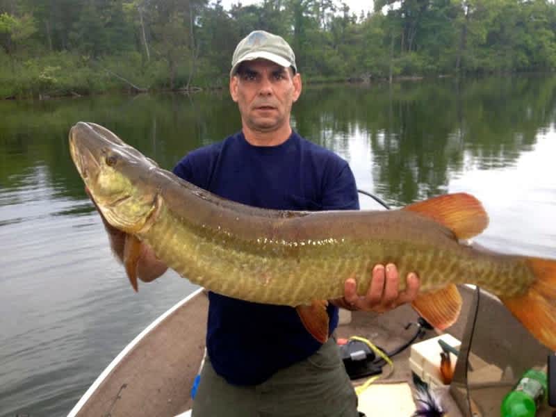 Tips and Tricks for Michigan’s Inland Summer Muskies