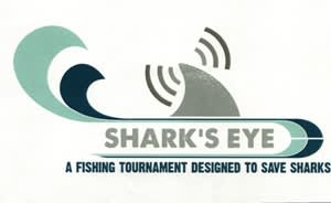 Sports Fishing in Montauk Looks to Save Sharks with Shark’s Eye Tournament