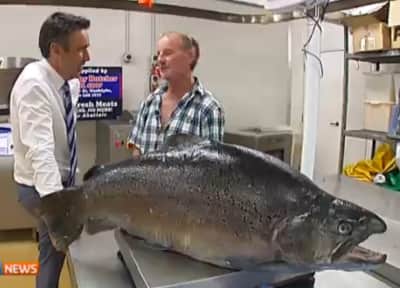 Angler’s 42-pound “Submarine-sized” Brown Trout Confirmed as World Record