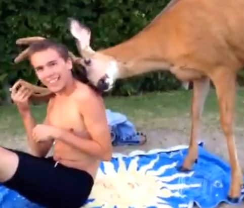 Video: Affectionate Deer Nuzzles Teen’s Head