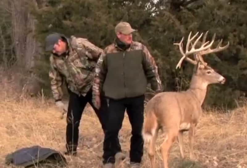 Video: Pennsylvania Officials Use Robot Deer to Catch Poachers