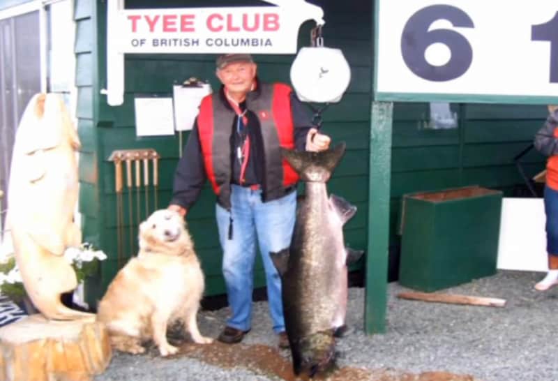 Canadian Angler Breaks Club’s Three-decade Dry Spell with Huge Chinook