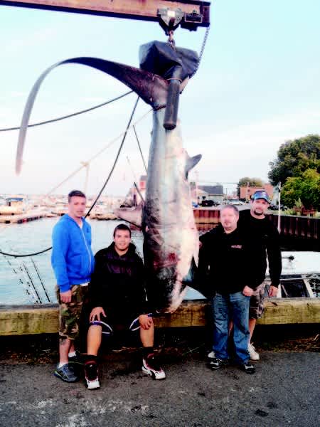 Massachusetts Anglers Catch Extraordinary 609-pound Thresher Shark, Narrowly Miss State Record