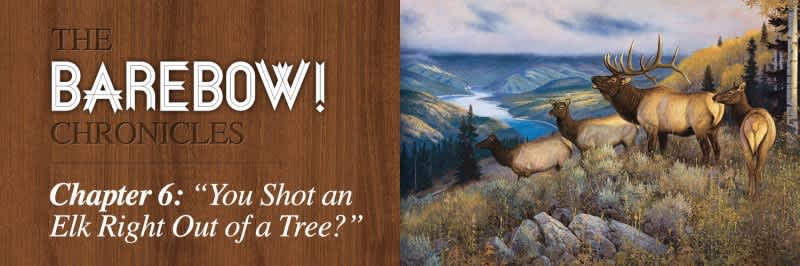 The BAREBOW! Chronicles: “You Shot an Elk Right Out of a Tree?”