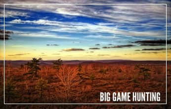 This Week on The Revolution: Big Game Hunting