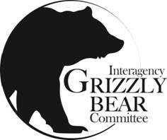 Illegal Shooting of Grizzly Bear Sow in Island Park, Idaho