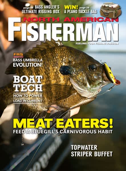 North American Fisherman Fall Issue Explores Carnivorous Feeding Habits