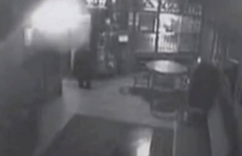 Video: Bear Enters Bar, Finds Itself Unwelcome