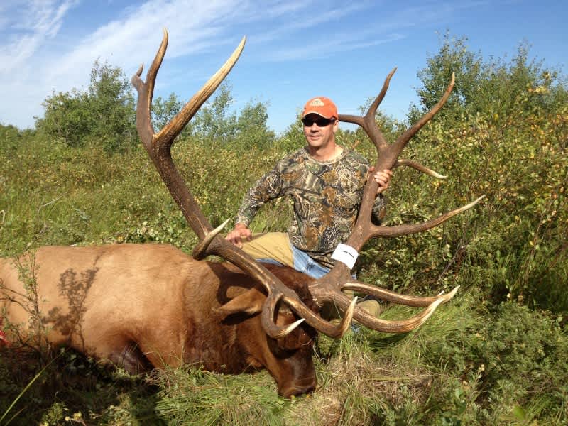 Possible Minnesota Record Elk Taken, Scores Near 400 on B&C Scale