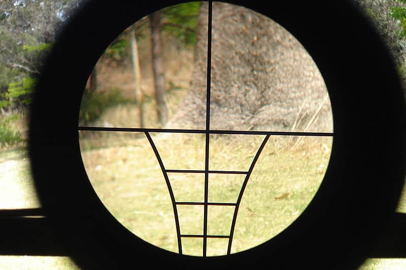Wisconsin Senate Approves Expansion of Crossbow Hunting