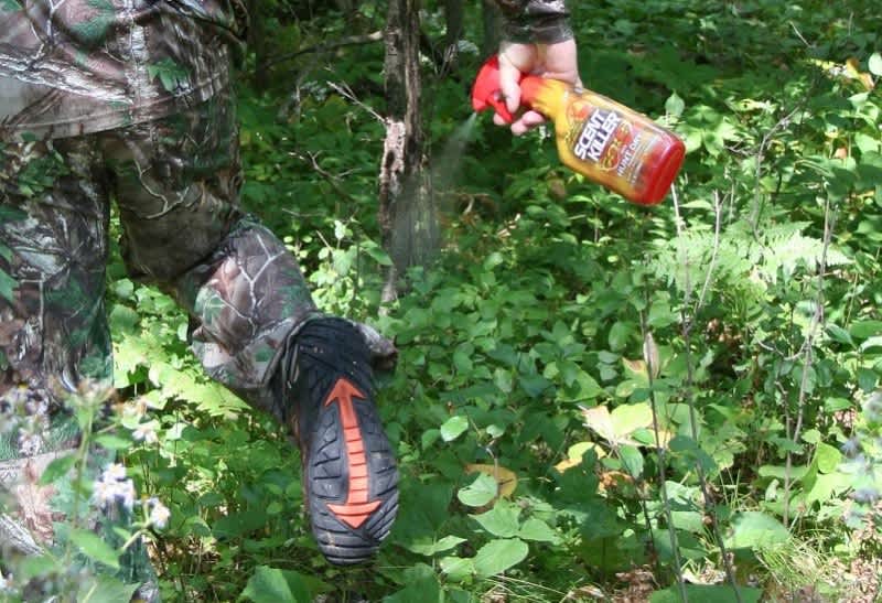 Six Keys to Hunting in the Heat
