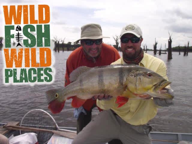 Wild Fish Wild Places Debuts on WFN October 6