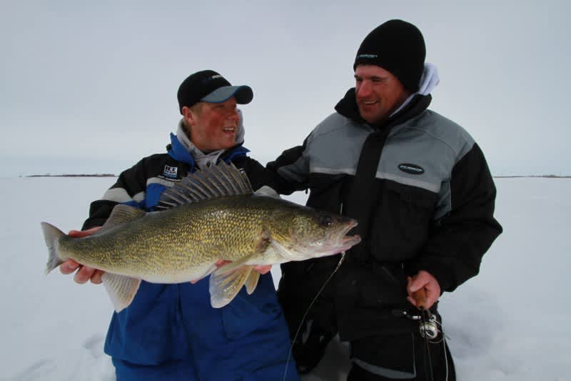 Ice Team Tips: First-ice Walleyes