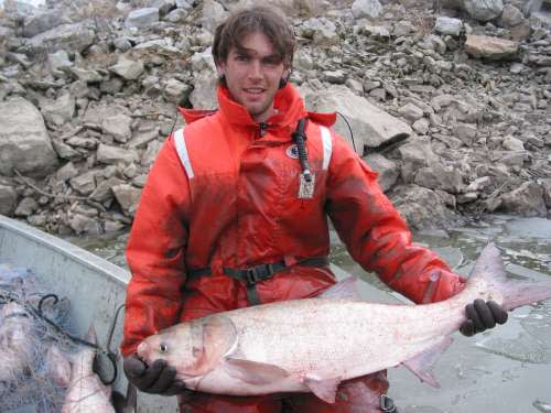 First Evidence of Asian Carp Breeding in Lake Erie Basin Unearthed