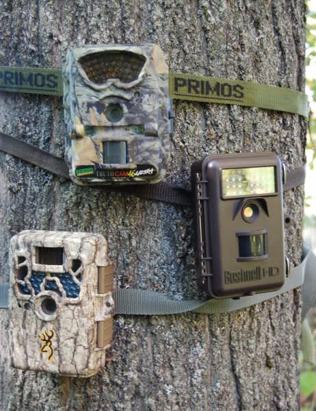 A Trail Camera Buyer’s Guide