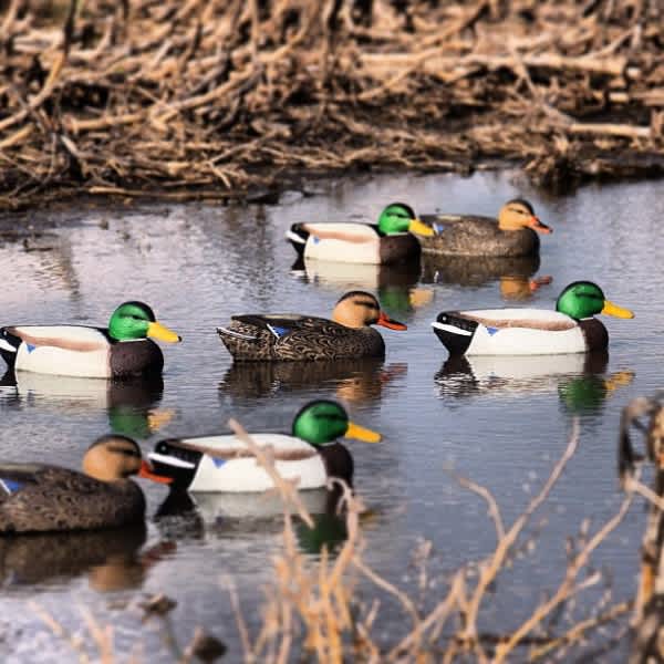 Hunting the Wind: Tips for Waterfowlers and Deer Hunters