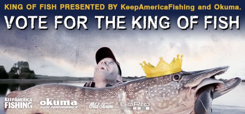 Decide Who Will Be the 2013 King of Fish