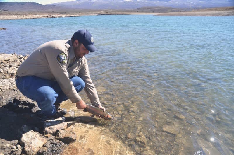 Fish Restocked at Colorado’s Miramonte Reservoir
