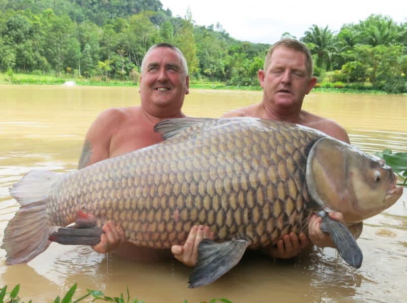 British Angler Challenges World Record with 134-pound Carp