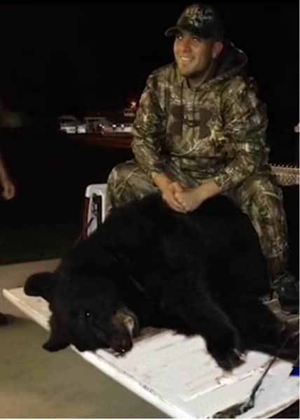 South Carolina Has New Black Bear Record