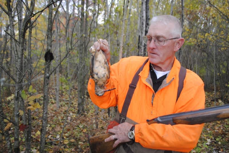 Birds of the North Woods: Michigan Woodcock Hunting