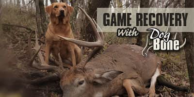 This Week on Outdoor Radio – Great Lakes Grouse Hunting Outlook and Tips for Training a Deer Dog