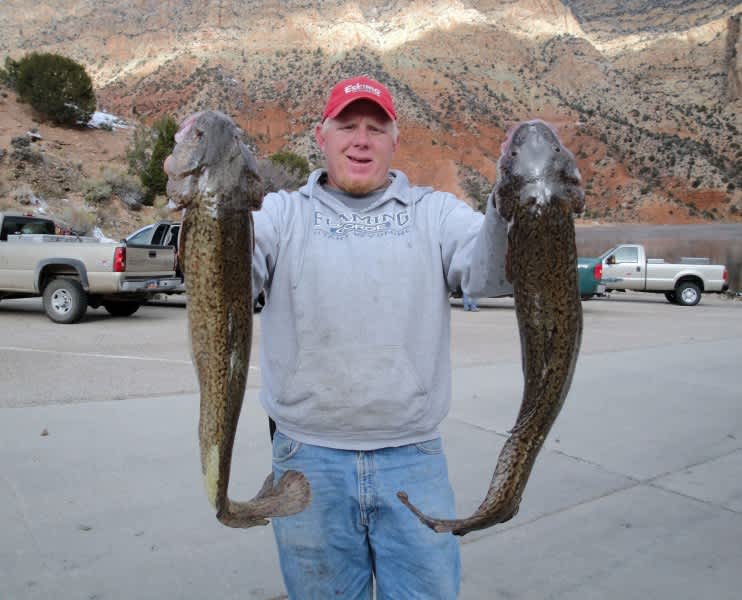 Cold Weather Means Hot Fishing for Utah’s Burbot Bash