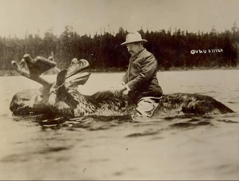 Iconic Image of Roosevelt Riding a Moose Deemed Forgery