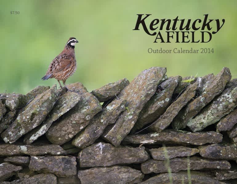 Gift Ideas for the Kentucky Outdoor Enthusiast on Your Christmas List