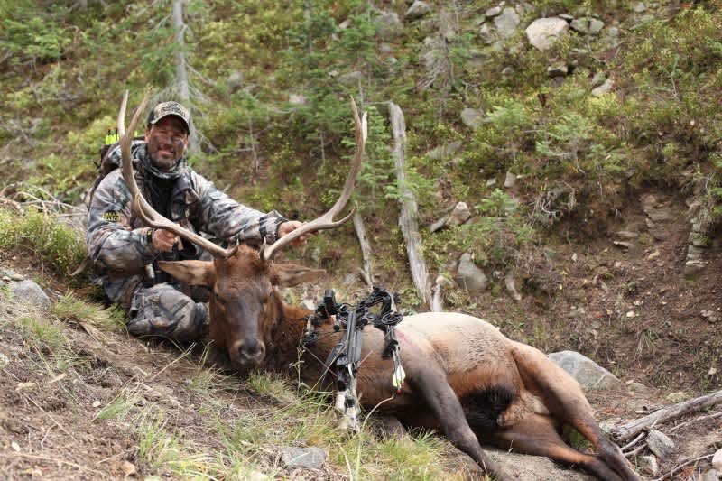 Doug Koenig Championship Season Presents Bugling Bull Elk in Wyoming – Part Two