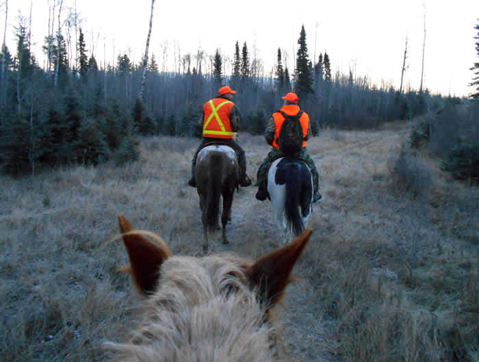 Horseback Deer Hunting Clings to Rich Tradition in Manitoba