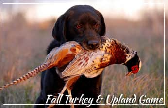 This Week on The Revolution – Fall Turkey & Upland Game