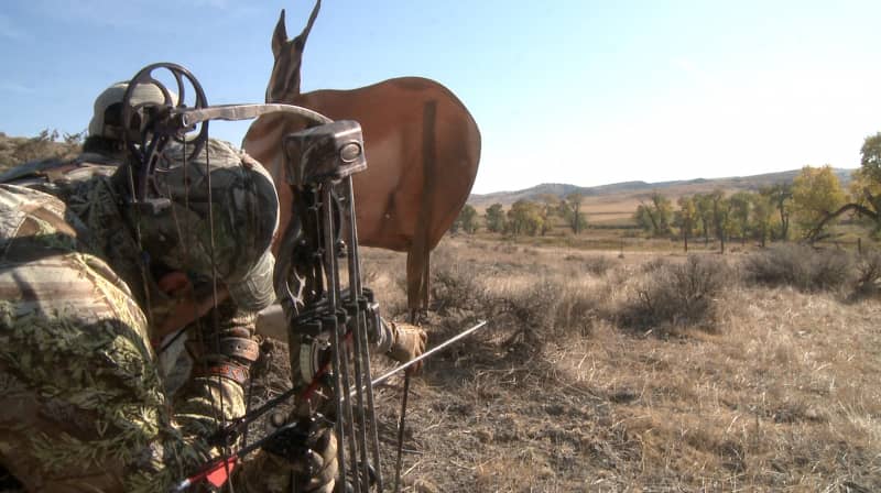 This Week on Scent Lok’s High Places – Tri-State Whitetails