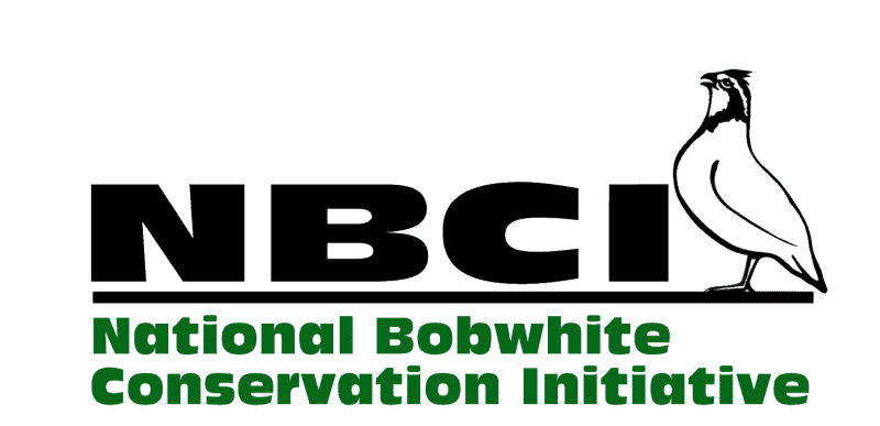 National Bobwhite Restoration Effort Approved for Funding Under Federal Aid in Wildlife Restoration Program