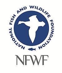 National FWF Announces $8.8 Million for Gulf Restoration in Texas