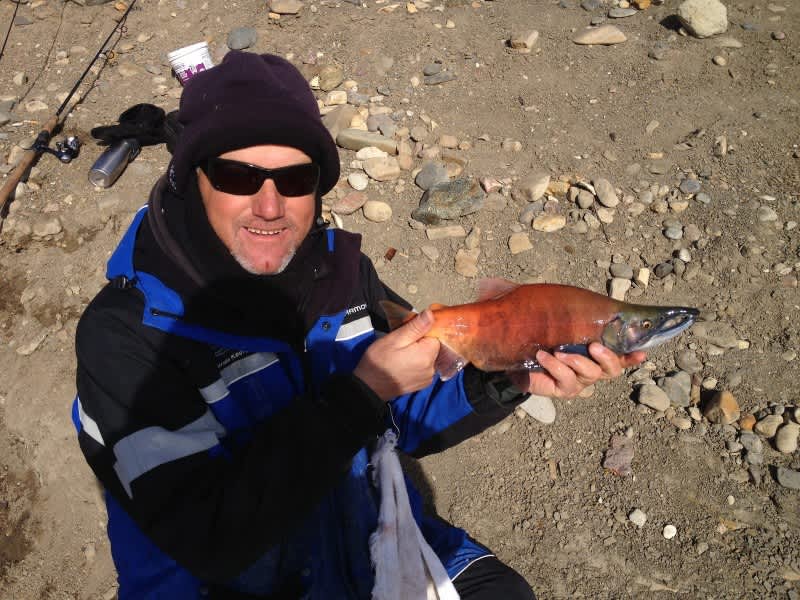 Ice Team Tips: Patterning Fish with Logbooks