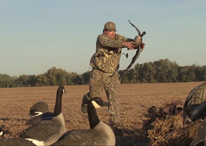 Video: Hunter Catches Goose Bare-handed