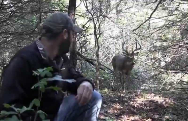 The Story Behind the “Irate Buck” Video