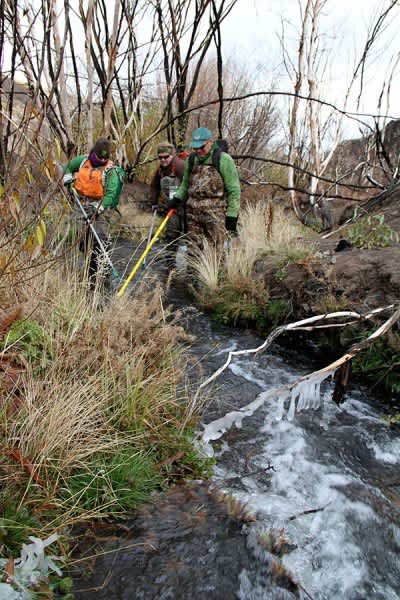 New Population of Non-native Trout Could Slow Recovery of Native Cutthroat in Oregon’s McDermitt Creek