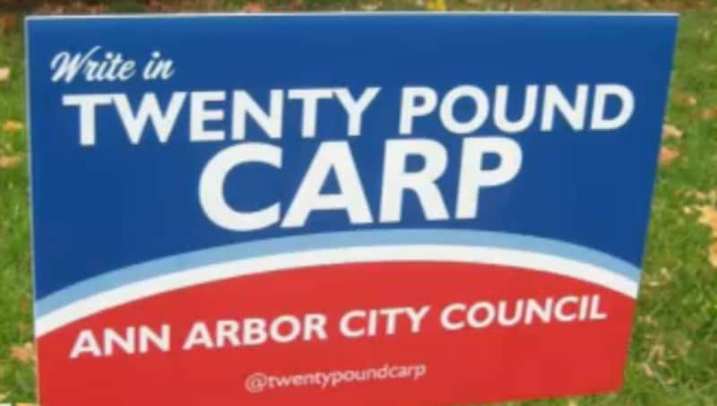 Asian Carp Runs for Michigan City Council