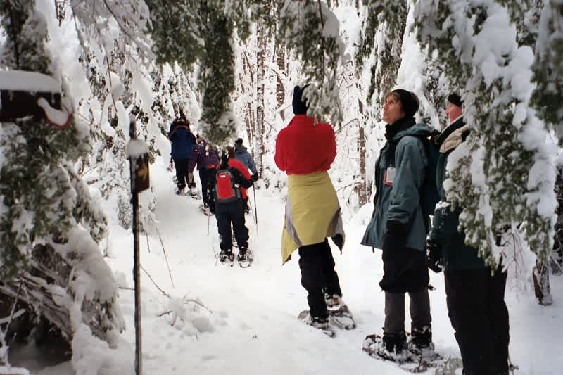 Register in January for New Hampshire’s Becoming an Outdoors-Woman Winter Workshop