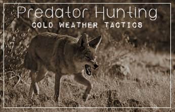 This Week on The Revolution – Cold Weather Tactics for Predator Hunting