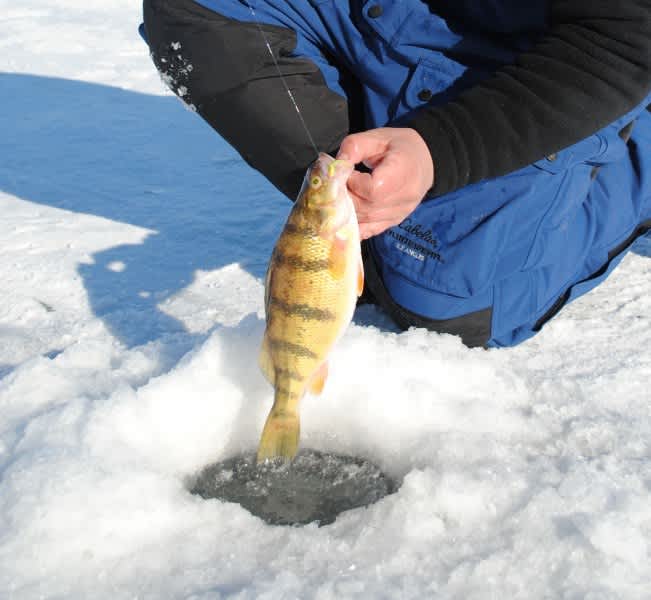Tips for Mid-season Ice Fishing