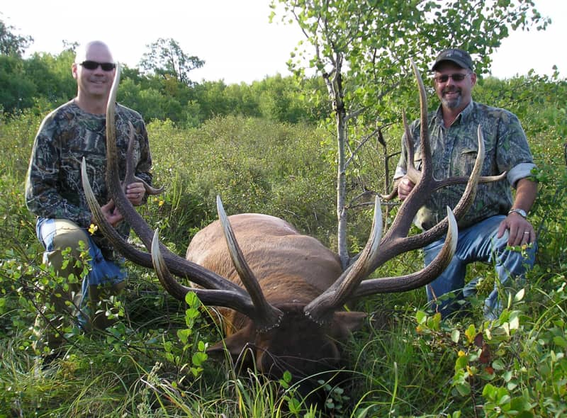 Minnesota Gets New Record Elk, Hunter Gets Rare Choice of Category