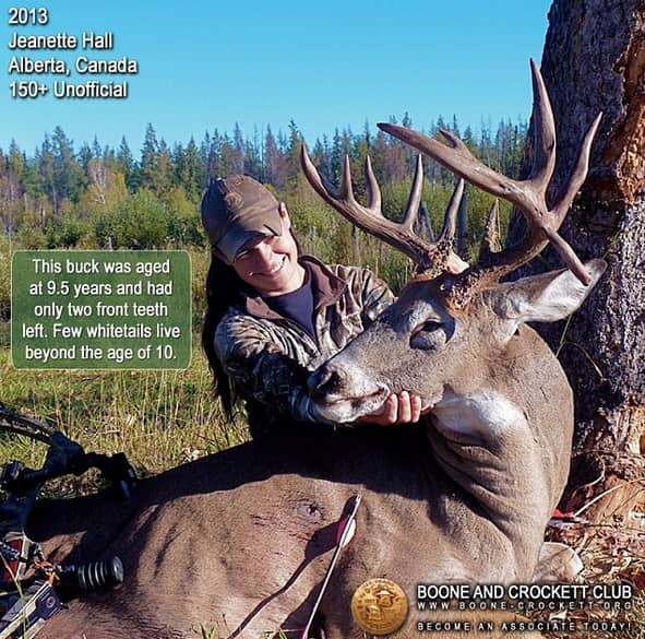 What is the Oldest Whitetail Deer You Have Taken?
