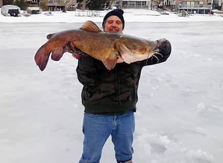 Michigan Angler Surpasses State Record with 52-pound Flathead Catfish