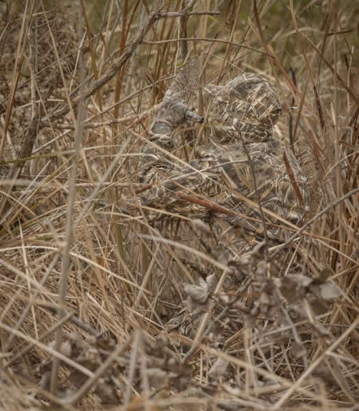 Realtree MAX-5 Redefines Waterfowl Concealment
