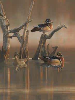 Scot Storm Named 2014 Ducks Unlimited Artist of the Year