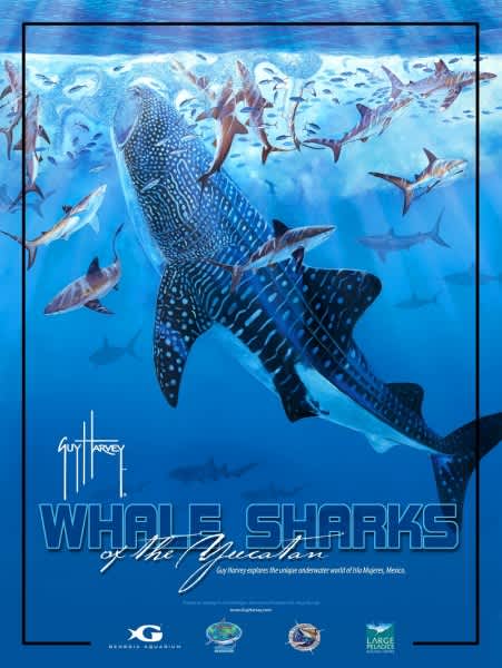 South Florida Premier of Guy Harvey’s Documentary “Whale Sharks of the Yucatan”